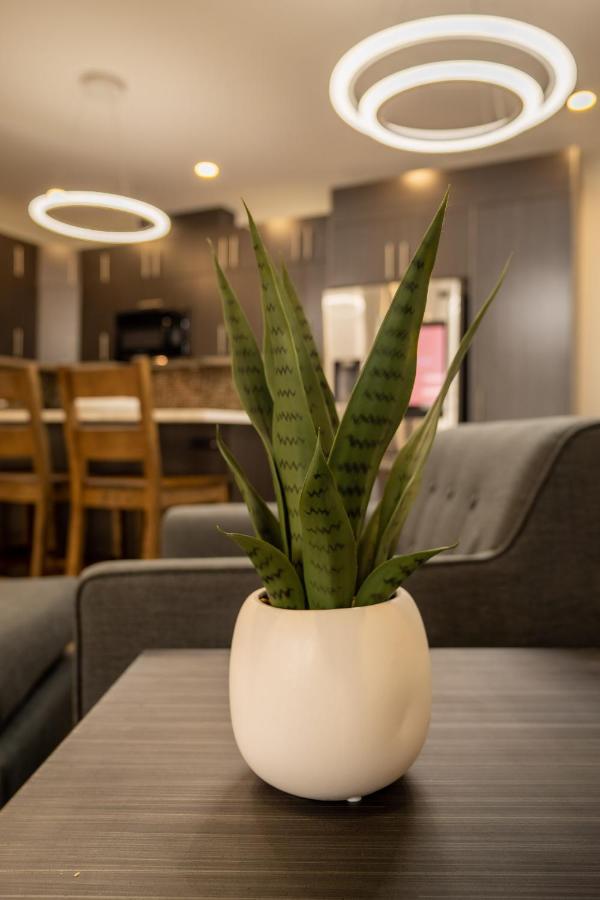 טראס Quality Inn Sunshine Suites מראה חיצוני תמונה